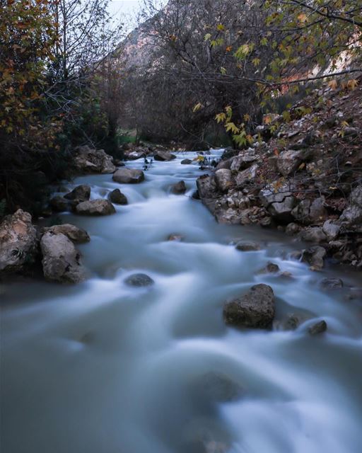 Wadi l akhdar river.07/01/2018... photography photographer... (Kfar Roummâne, Beyrouth, Lebanon)