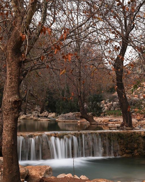 Wadi l akhdar river.14/01/2018... photography photographer... (Kafarroman)