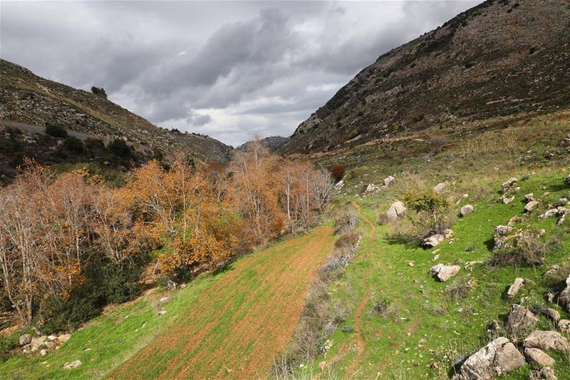 Wadi l akhdar river.... photography photographer photooftheday... (Kafarroman)