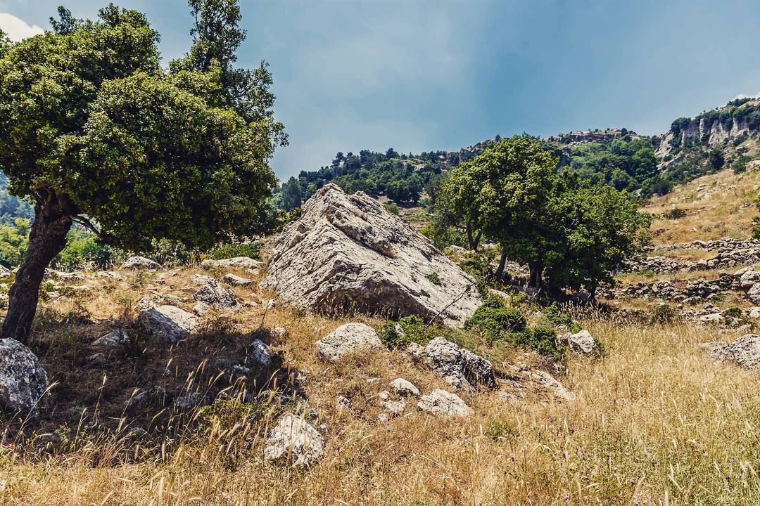 Wadi Odin, Akkar. . . . . . . . . ... (Akar, Liban-Nord, Lebanon)