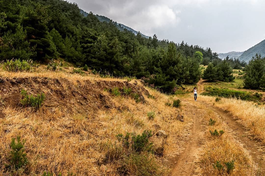 Wadi Odine, Akkar. . . . . . . . . ... (Oudine Valley)