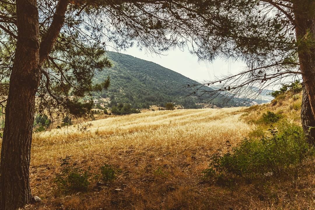 Wadi Oudine. . . . . . . . . __________________________________________... (Oudin,andaket)