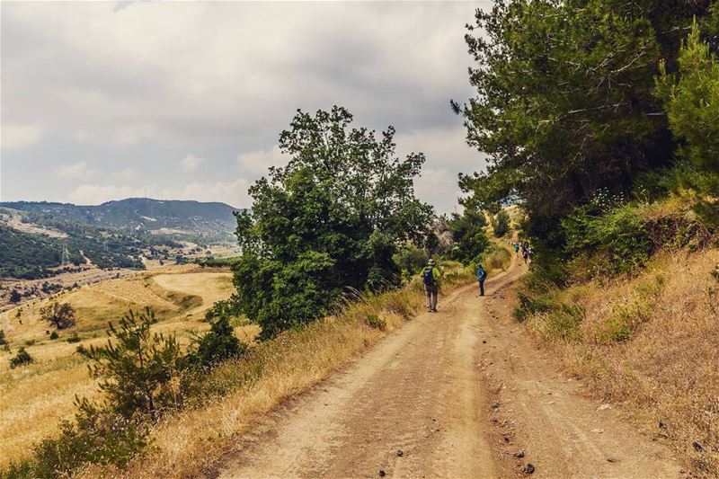 Wadi Oudine, Akkar. . . . . . . . . ... (Oudine Valley)