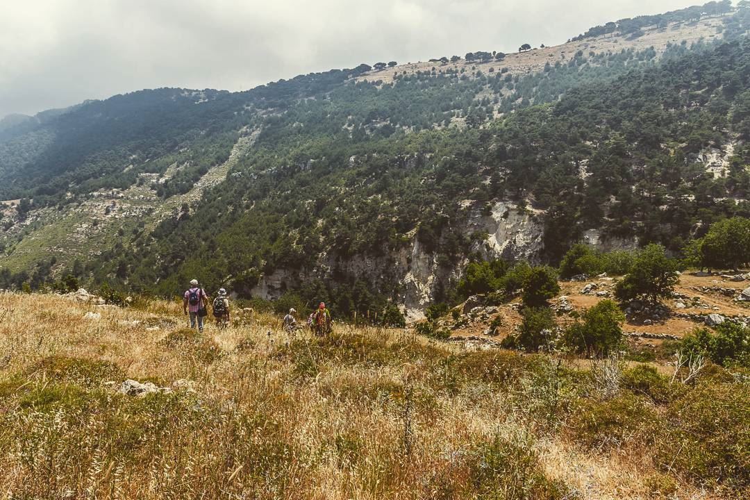 Wadi Oudine, Akkar. . . . . . . . . ... (Oudine Valley)