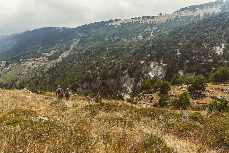 Wadi Oudine, Akkar. . . . . . . . . ... (Oudine Valley)