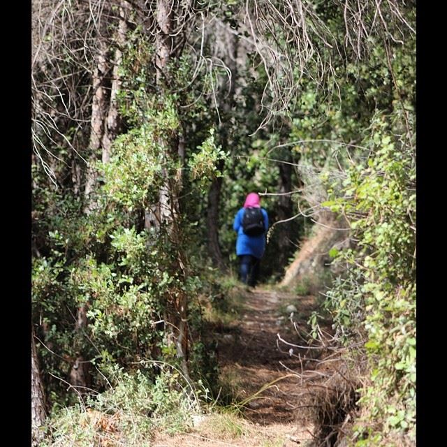  walking  girl  tunnel  trees  hiking  forest  lebanon  lebanese  nature ...