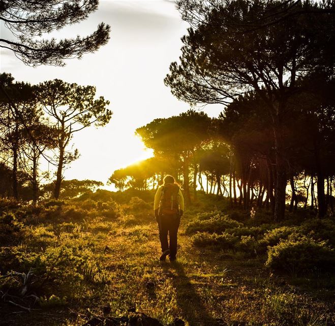 Walking towards the... (Lebanon)