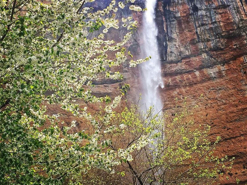  waterfall  nature  valley  bcharre  livelovelebanon  livelovebcharre ... (قنوبين ، وادي القديسين)