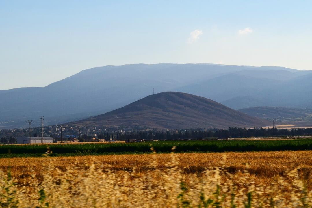 Waves and waves... nature  naturelover  naturephotography  outdoor ... (Beqaa Valley)