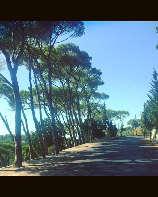 We are searchlights ...we can see in the dark ... keepdiscovering ...... (Chouf)