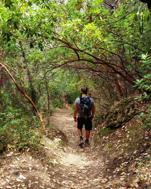 🌳 Weekend escapes 🌳... (My Adventures Lebanon)