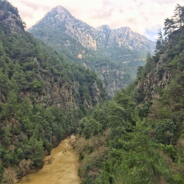 Welcome to... (Chouwen)