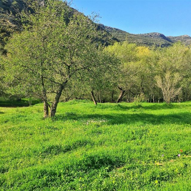 Welcome to... (Jezzine District)