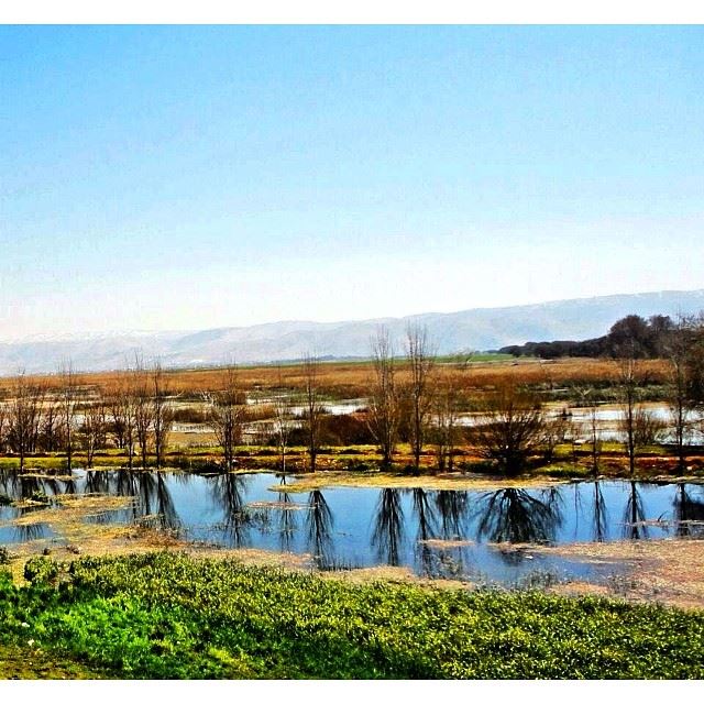  westbekaa  lebanon  nature  lebanon_hdr  wearelebanon  proudlylebanese ...