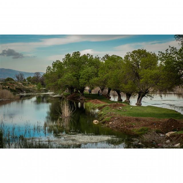  wetlands  reflection  lebanon  bekaa  trees  sky  clouds  mountains ...