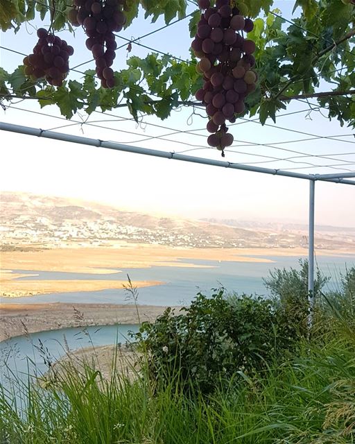 What a beautiful view to woke up to...  ig_respect  ig_lebanon  instaamici... (Saghbîne, Béqaa, Lebanon)