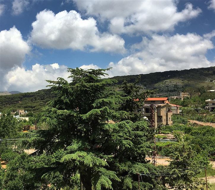 what could be better than waking up to this view🤷🏻‍♀️ (Bmohray Village)