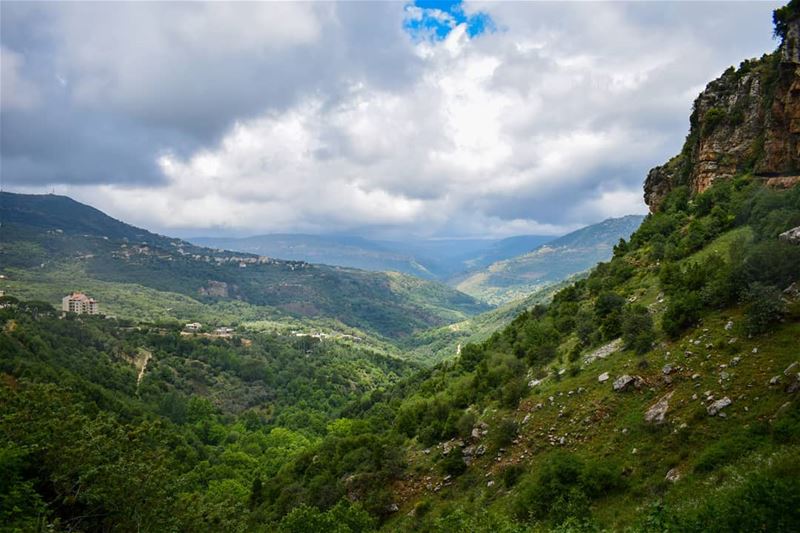 What does nature mean to you? It's life, save it🌱 (Jezzîne, Al Janub, Lebanon)