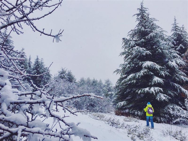 What haven’t we touched?📷 @fady_adventures... travel  nature ... (Lebanon)