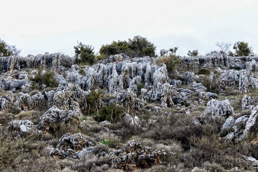 Whatever the mind of man can conceive and believe, it can achieve.The man... (Kfar Hoûné, Al Janub, Lebanon)