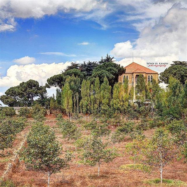  whatsuplebanon worthdoinglebanon insta_lebanon instalebanon instalebnen... (Sawfar, Mont-Liban, Lebanon)