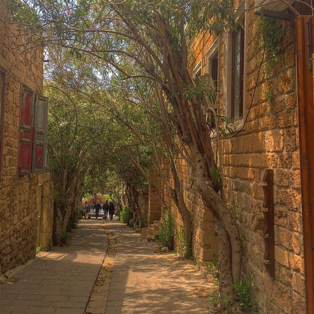 When  nature and  history meet 👌🏻🌴🏡🌼. (Jbeil-Byblos)