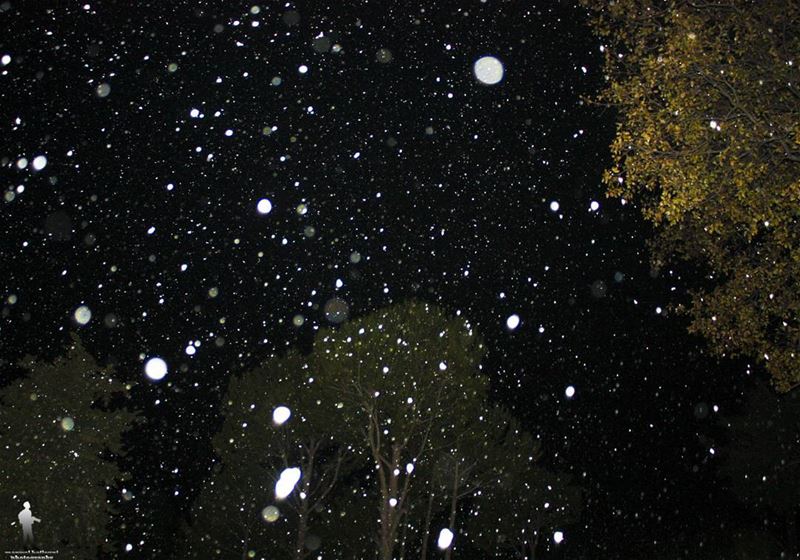 When snow falls, nature listen  snow  night chouf jbaa lebanon...