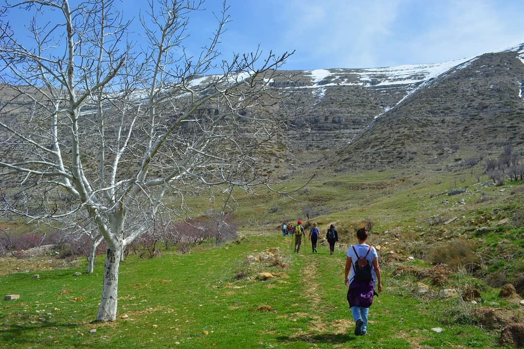 When the path reveals itself, follow it!  lebanonisbeautiful ... (Somewhere On Earth)