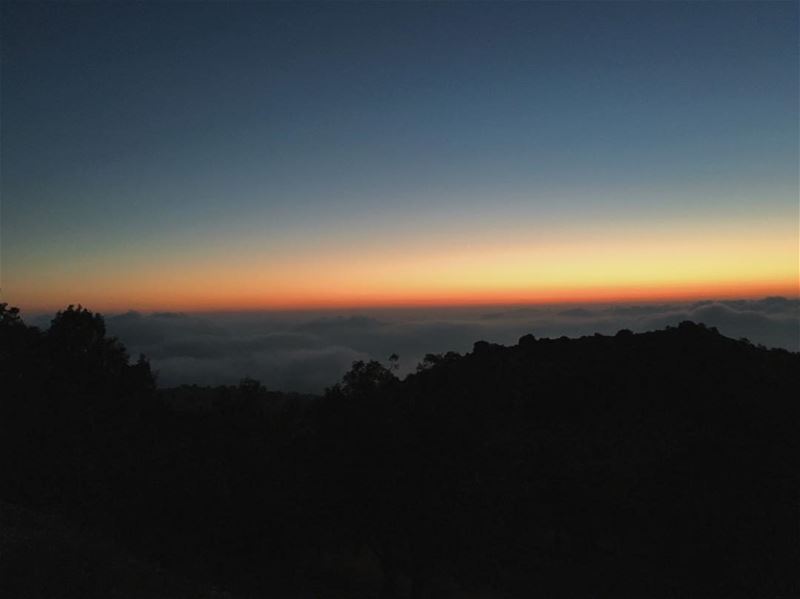 when the sun goes... (Ain Zhalta - Bmohray Cedars)