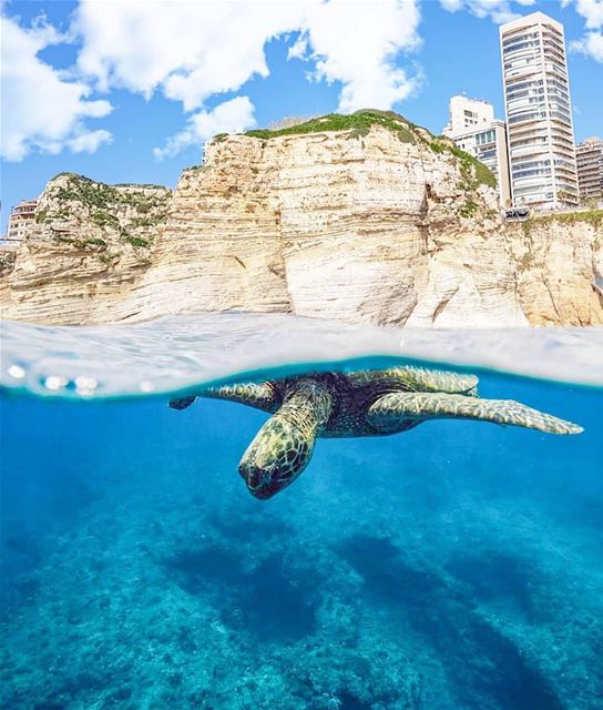 When you put positive vibes to the universe, the universe listens. 🌊🐢By... (Raouche Rock , Beirut , Lebanon)