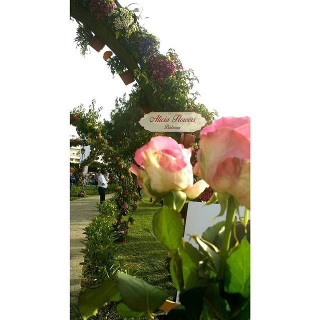 when you're at @soukelakel and you spot your name on a sign 💁 ....... (Batroun Public Garden)