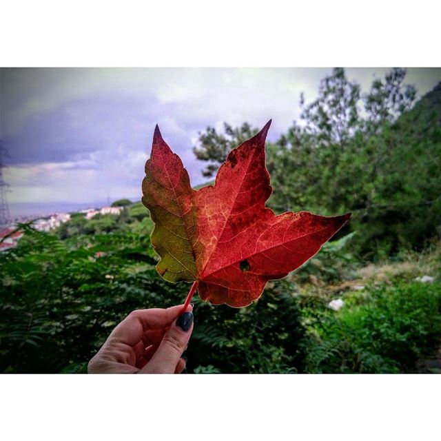 When you're obsessed with this season🍁 - Ain Saade  favorit season... (Aïn Saâdé, Mont-Liban, Lebanon)