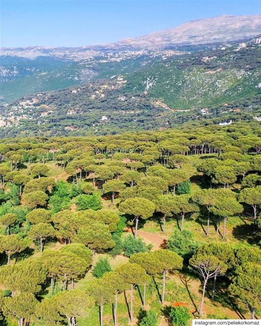 Wherever you go, no matter what the weather, always bring your own... (Salima, Mont-Liban, Lebanon)