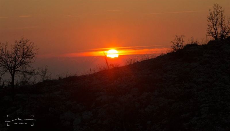 Who's missing the snow as much as I do?Let's hope for the best.Very warm... (Arz Tannoûrîne)