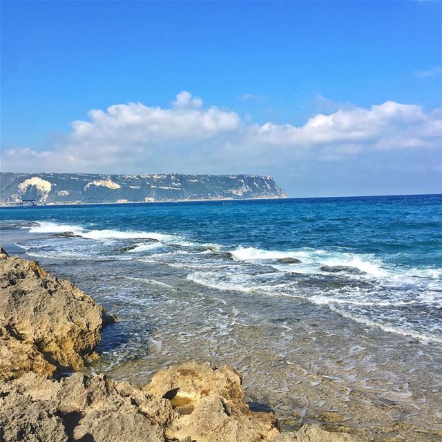 Who's up for a morning dive?