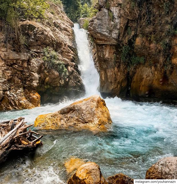 Wild Connection 🍃 lebanon  livelovelebanon  whatsuplebanon  beirut ... (Majdel el-Aqoura)