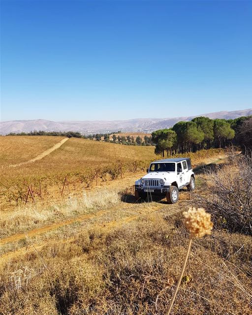 Wild Sunday 🍂 (West Bekaa)