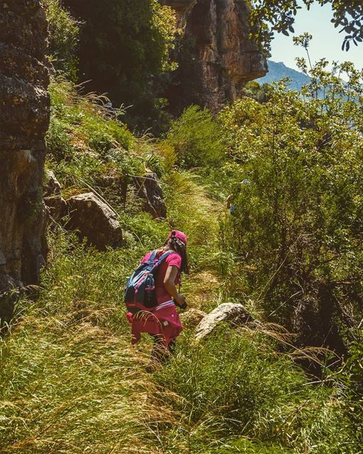 Wildreness on the mountain edge... (`Ammatour, Mont-Liban, Lebanon)