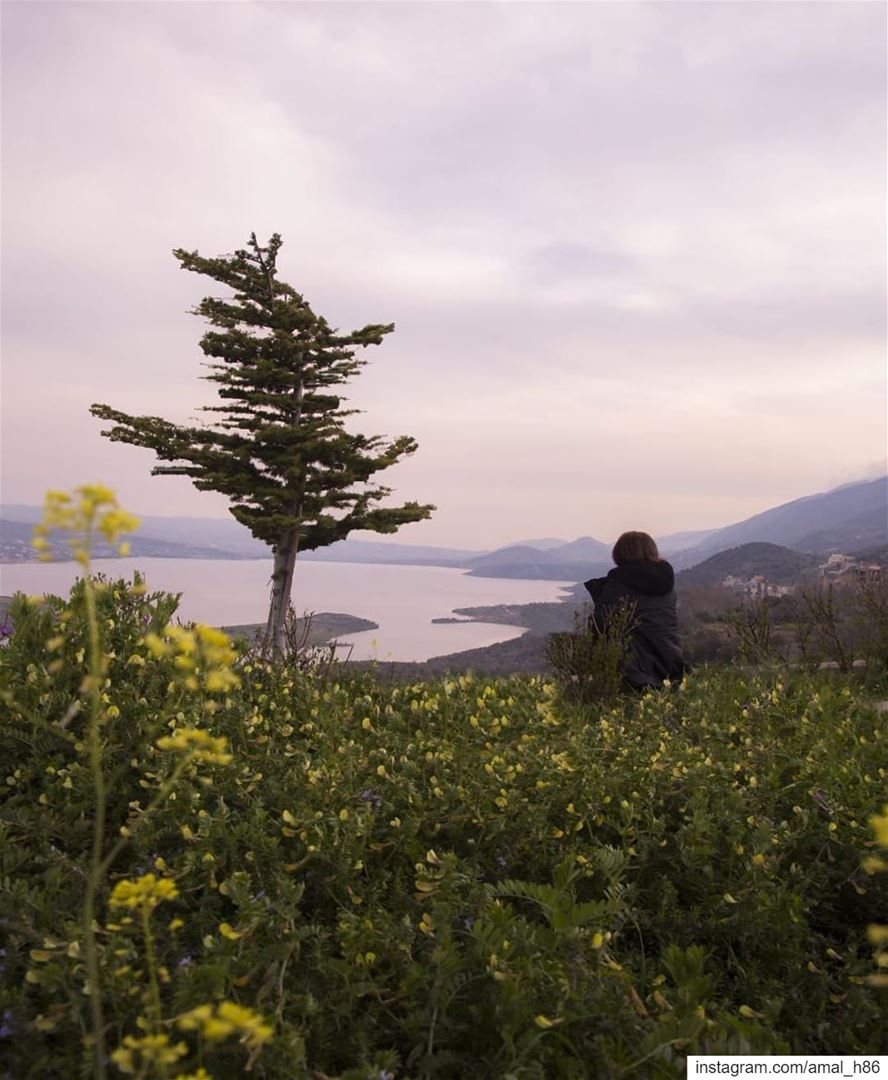 Will you sit with me & share a cup of silence when words just cannot be... (Saghbin, Béqaa, Lebanon)