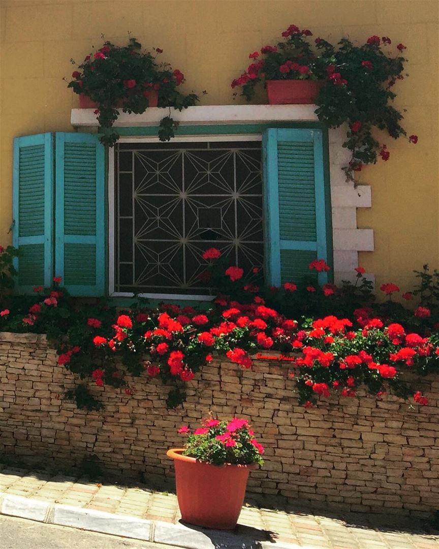  window  flowers  colors  streetphotography  village  beautiful  today...