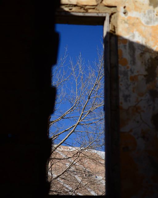  window  old  oldhouse  bluesky tree  winter ...