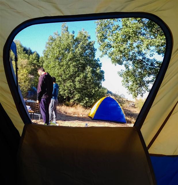 Window to the world 🌲 (Cedars Ground Campsite)