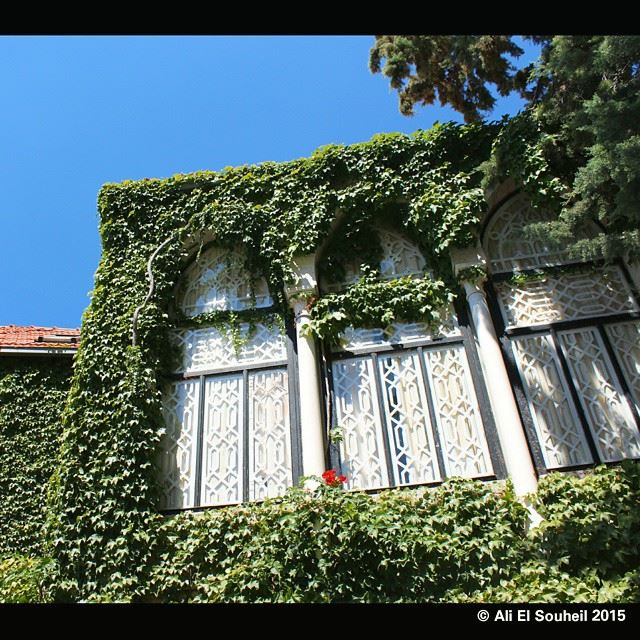  windows  old  house  sky  green  tree  plants  lebanon  colorful ...