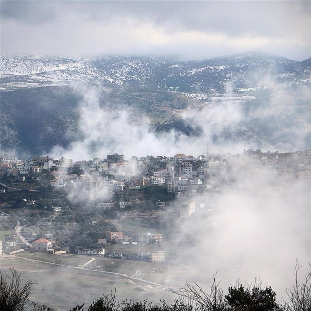 Winter camouflage ☁️ (Marjayoûn, Al Janub, Lebanon)
