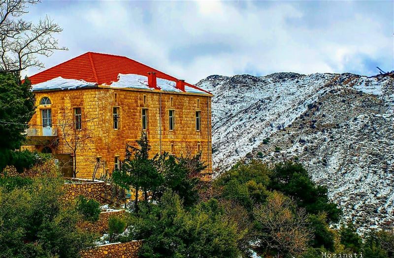  winter heritageday heritage ig_masterpiece snowyday ig_myshot l4l... (Kfar Hoûné, Al Janub, Lebanon)