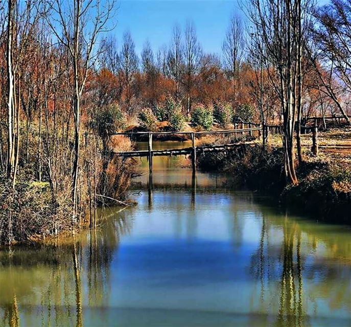 Winter is an etching, Spring a watercolor, Summer an oil painting, and... (West Bekaa)