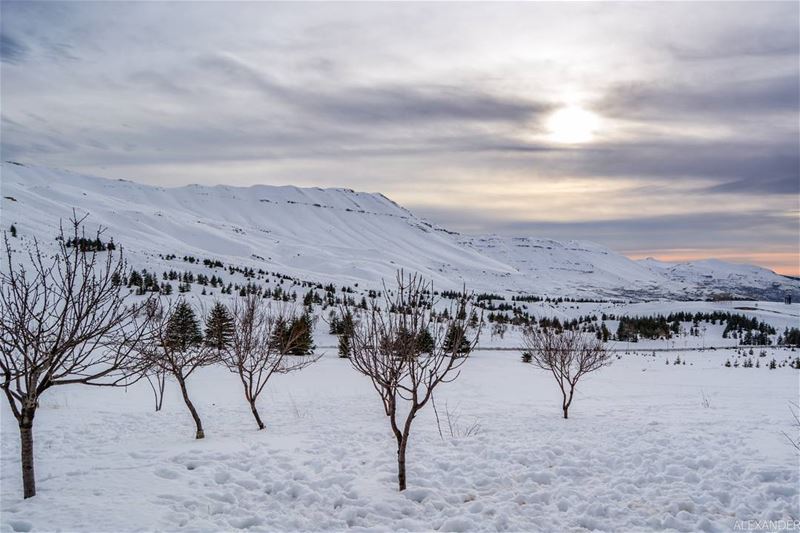Winter landscape, Arz Bcharre, Lebanon  livelovebcharre | Good evening all! (Arz Bcharé)