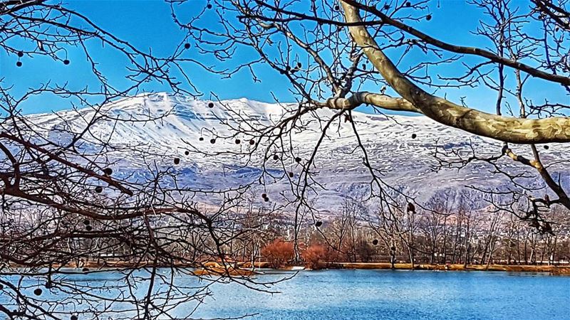 Winter's best  nature  naturephotography  landscape  winter  view  igers ... (Taanayel Lake)