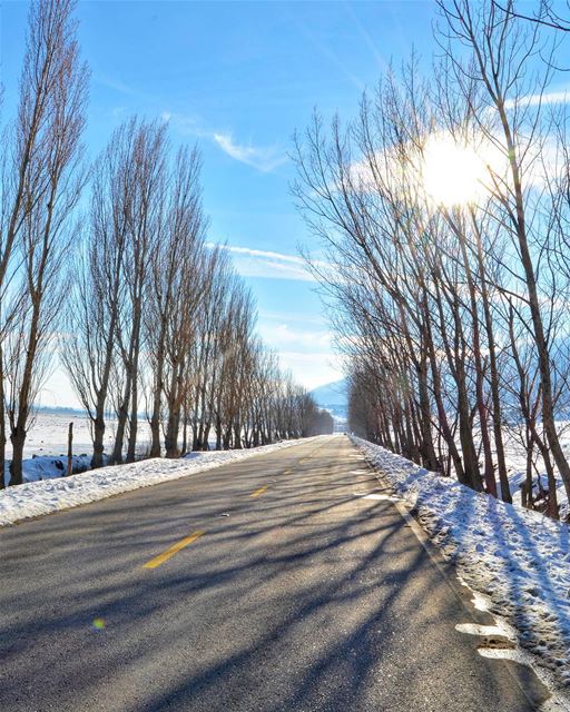 Winter times...❄️❄️ Bekaa Lebanon.  livelovebekaa Hope we had a white... (West Bekaa)