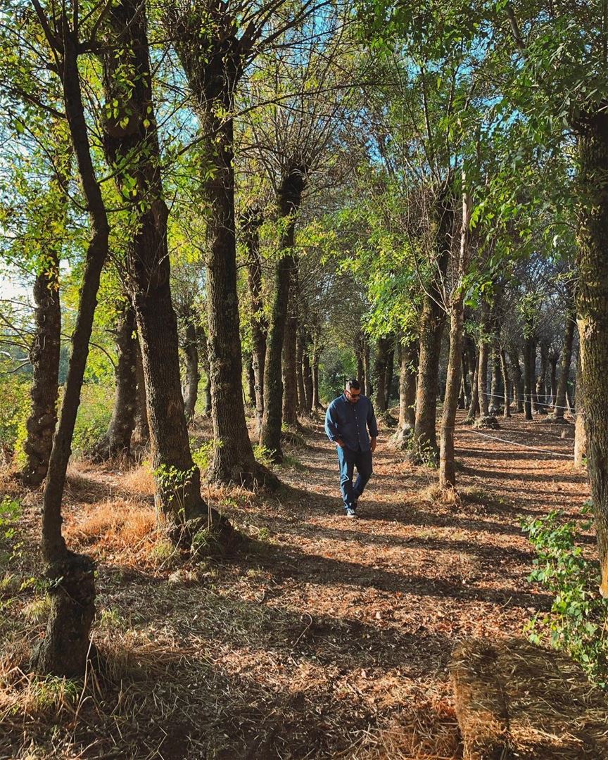 Wishing for a sunny weekend🤞🏻.. autumn  picoftheday  roadtrip ... (Deïr Taanâyel, Béqaa, Lebanon)